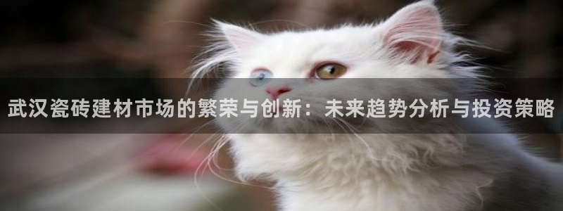 杏鑫平台登录注册