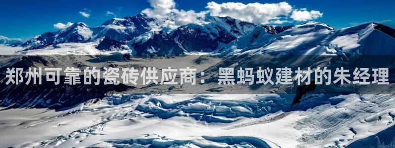 杏鑫招商总代