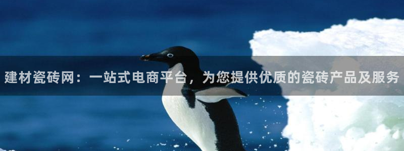 杏鑫注册平台官方网站是什么