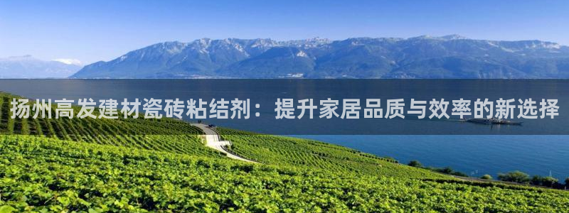 杏鑫注册登录平台是什么