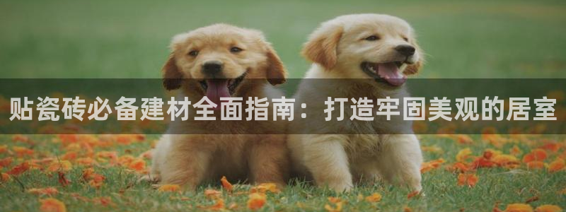 杏鑫平台在线注册怎么注册