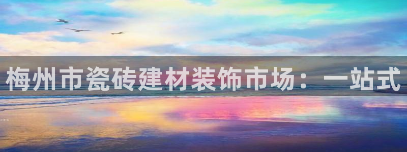 杏鑫平台登录注册