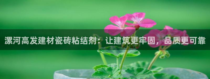 杏鑫平台登录地址是什么