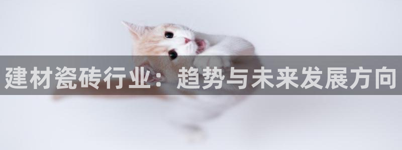 杏鑫平台注册登录