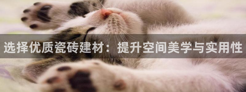 杏鑫平台怎么样黑钱吗安全吗可靠吗