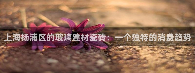 杏鑫平台登录注册