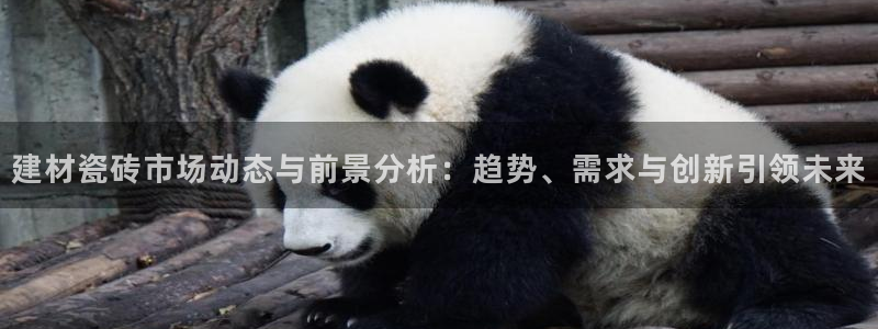 杏鑫平台注册地址