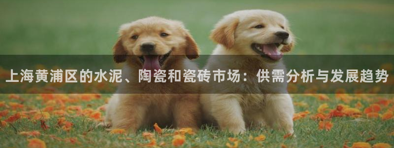 杏鑫娱乐开发团队