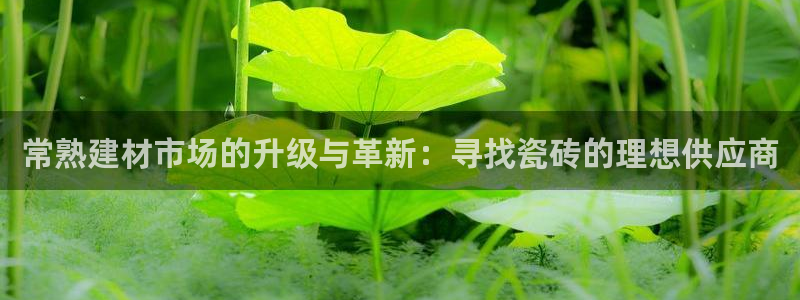 杏鑫注册登录网址是什么