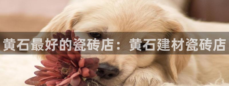 杏鑫平台登录地址查询