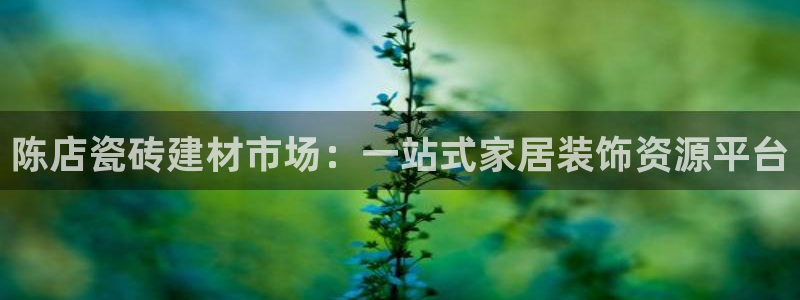 杏鑫官方app代理