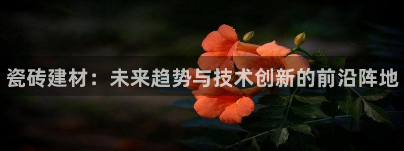 杏鑫平台代理怎么样赚钱