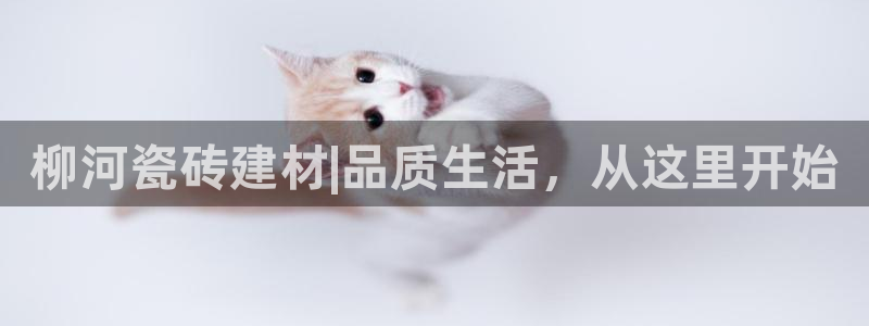 杏鑫平台在线注册流程