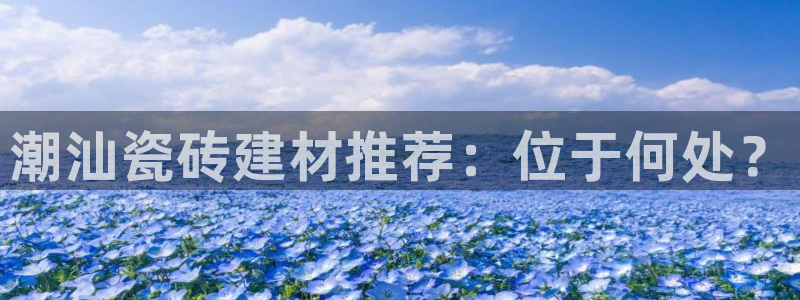 杏鑫官网最新信息