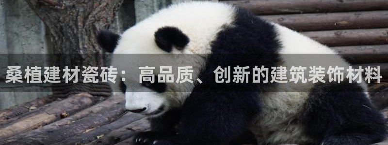 杏鑫平台注册地址在哪里