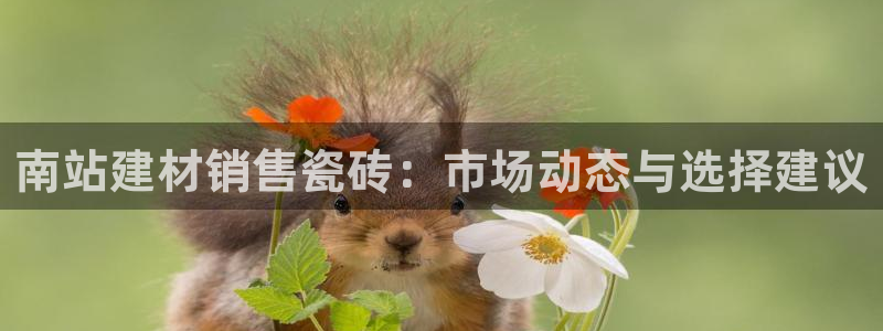 杏鑫平台注册网址是多少