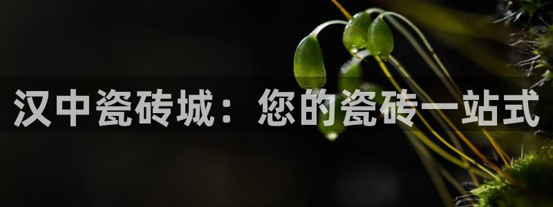 杏鑫平台注册地址是哪里