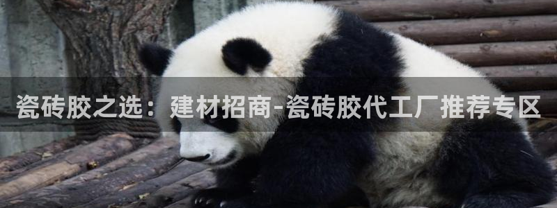 杏鑫平台招商怎么样可靠吗