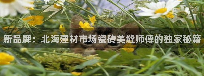 杏鑫娱乐平台登录