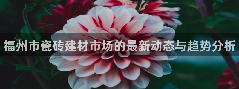 杏鑫平台代理注册登录不了怎么办呀