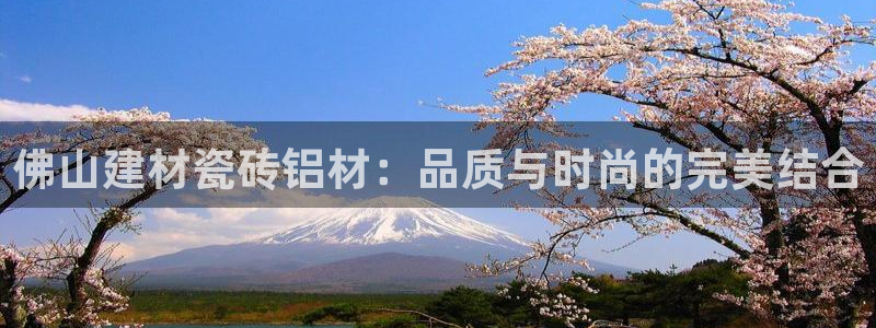 杏鑫平台注册入口在哪