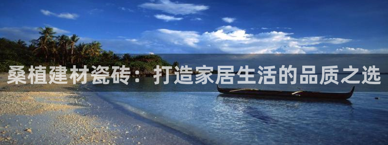 杏鑫官网最新信息新闻