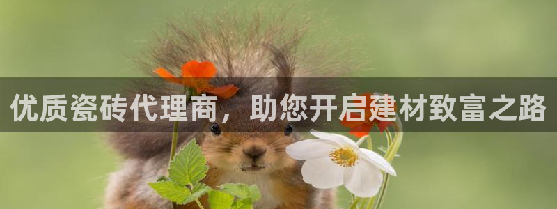 杏鑫注册登录地址