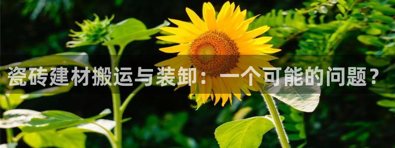 杏鑫平台注册登录