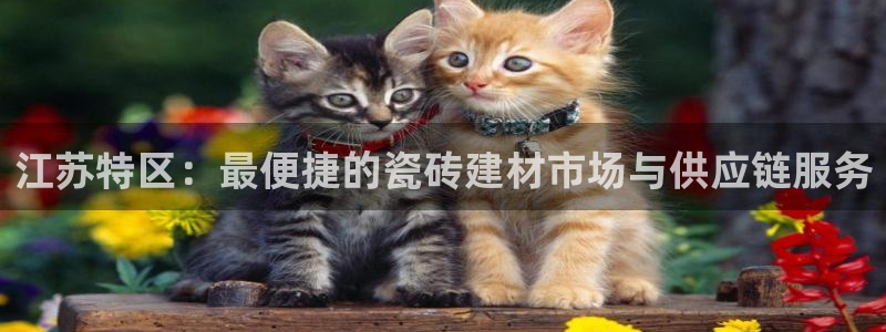 杏鑫登录注册测速