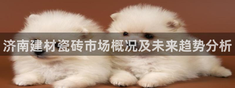 杏鑫官网最新信息新闻