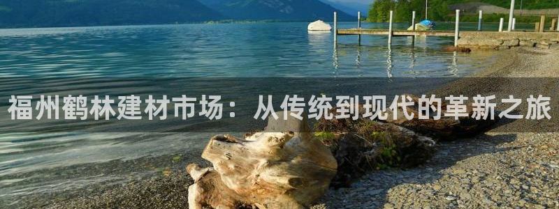 杏鑫平台代理注册流程视频