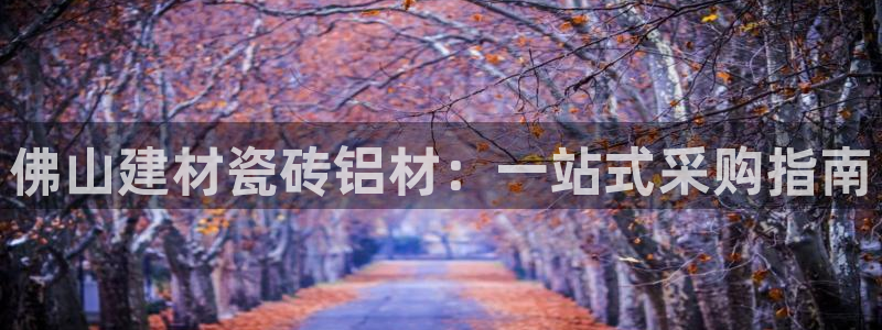 杏鑫娱乐开发团队