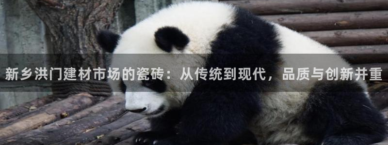 杏鑫平台招商电话号码是多少