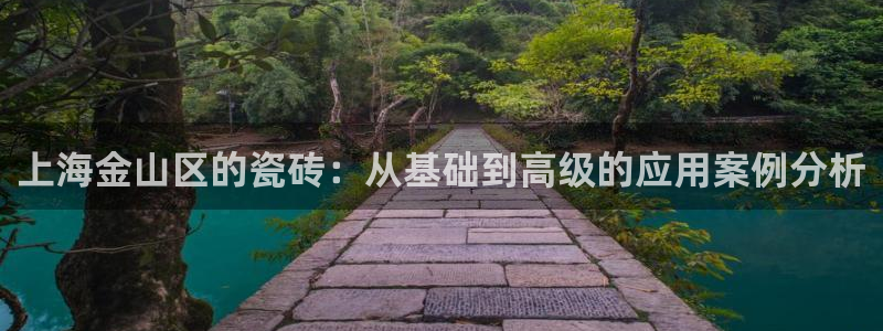 杏鑫平台代理注册流程视频