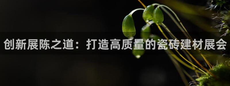 杏鑫平台登录地址在哪