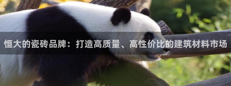 杏鑫官网注册账号怎么注册不了